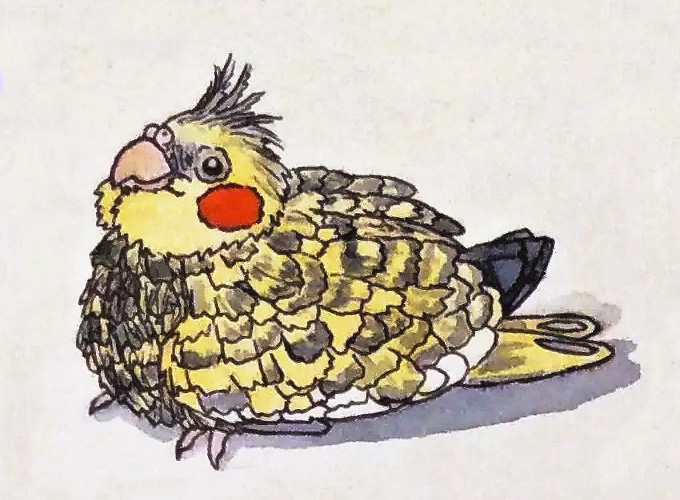 Baby Cockatiel