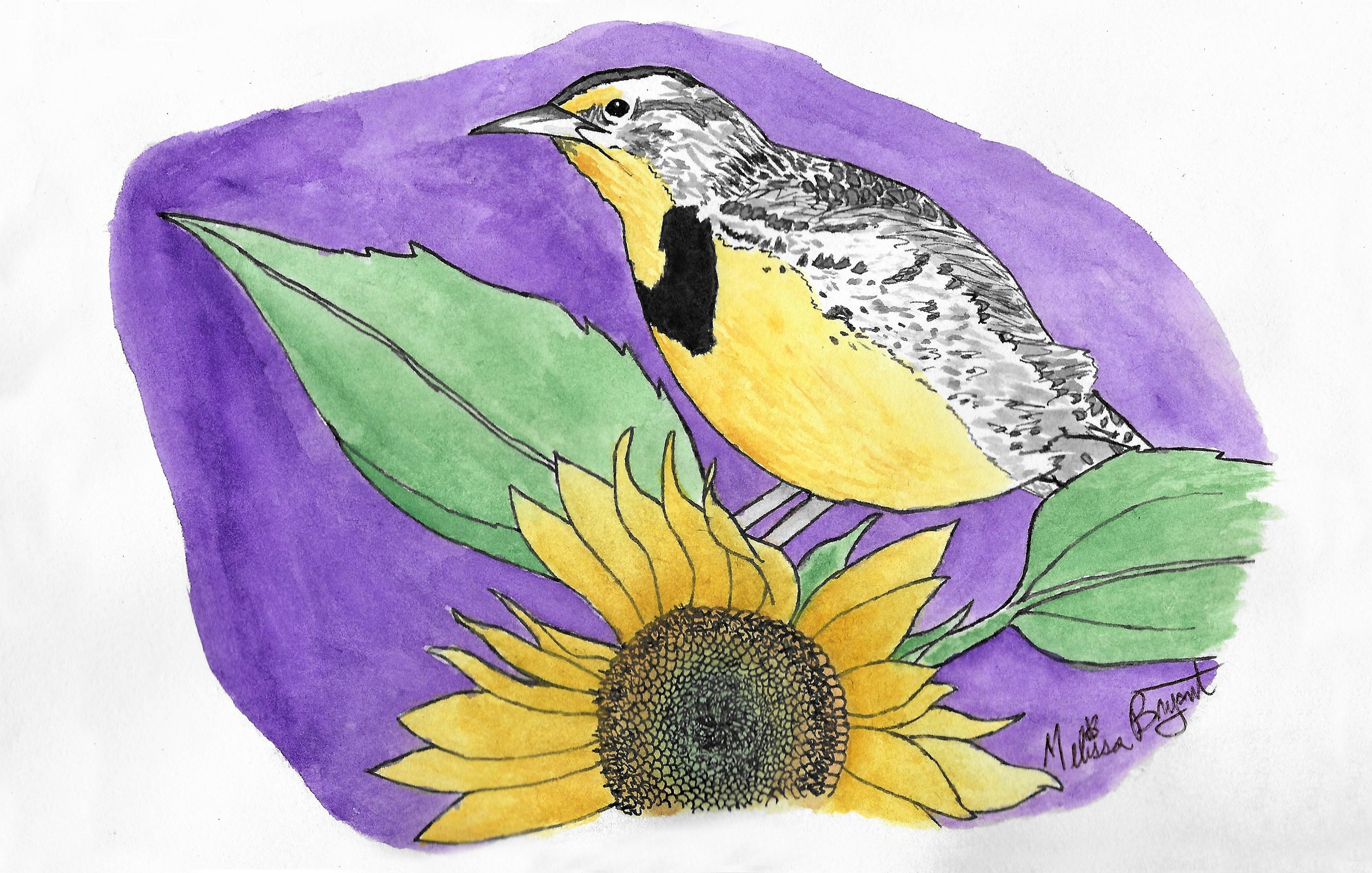 Kansas State Bird and Flower