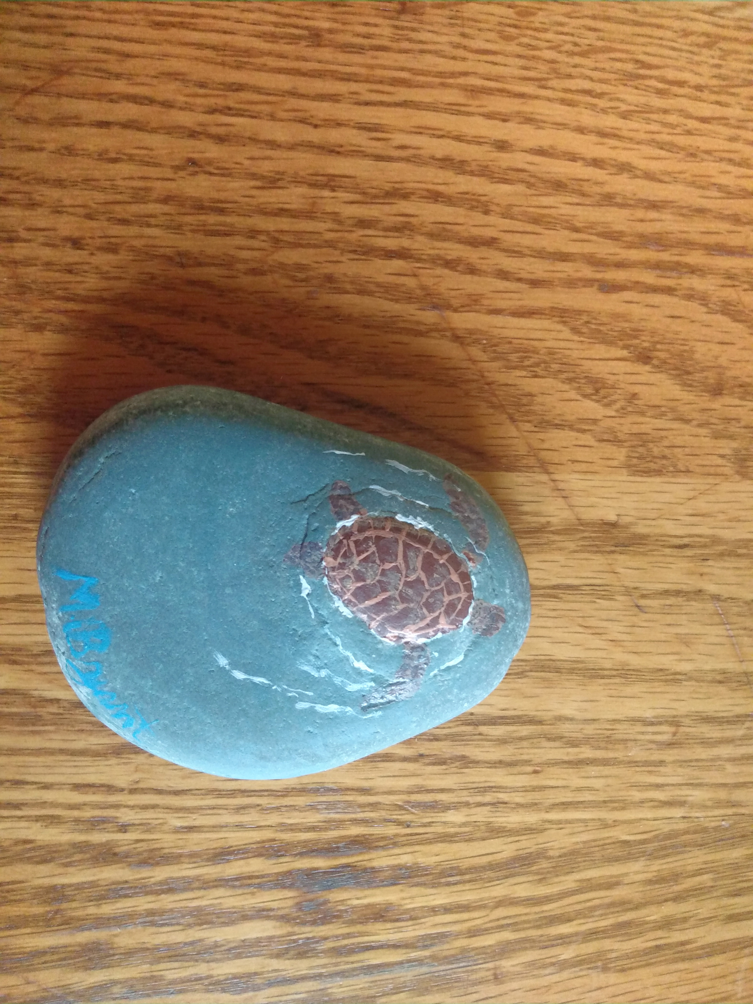 Turtle painted on a rock